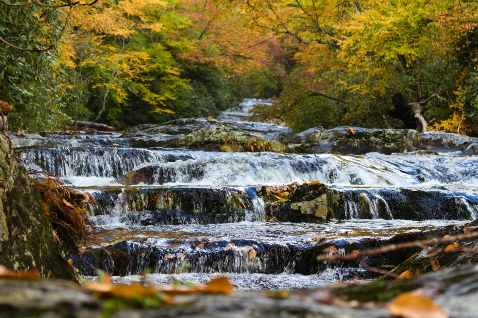 Great Smoky Mountains National Park