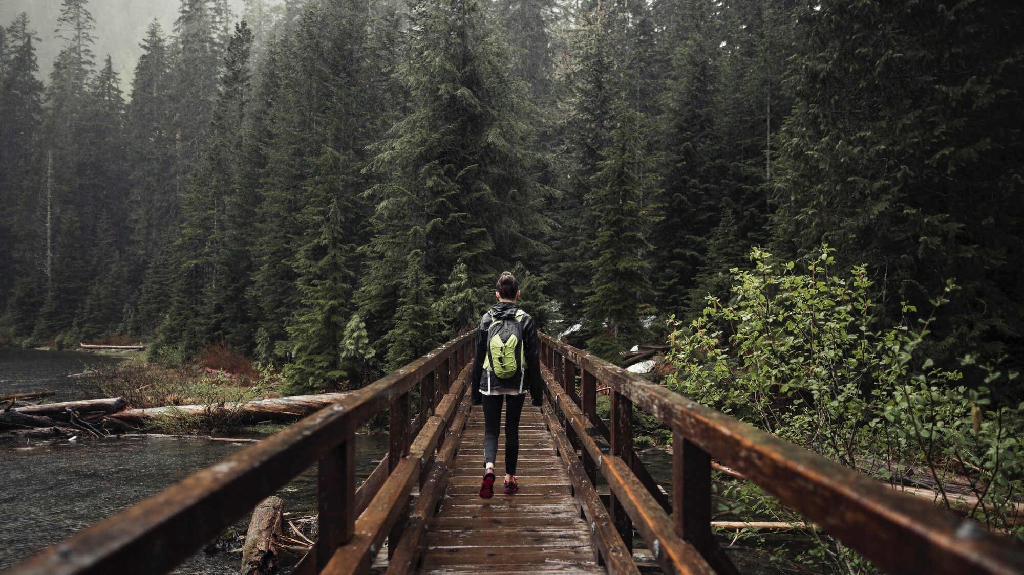 A hiker with a backpack crossing a wooden bridge through a misty pine forest