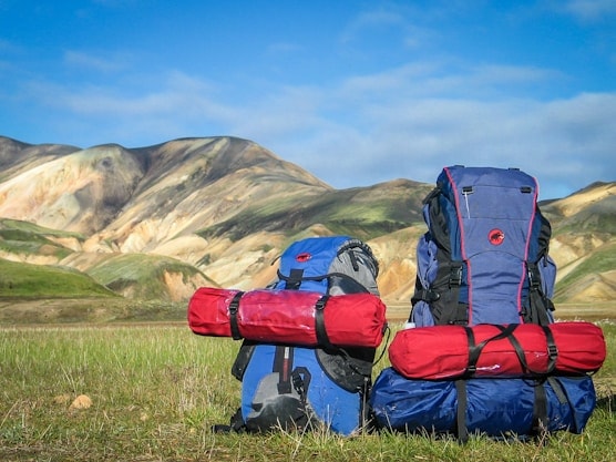 Two loaded expedition backpacks standing in a grassy valley