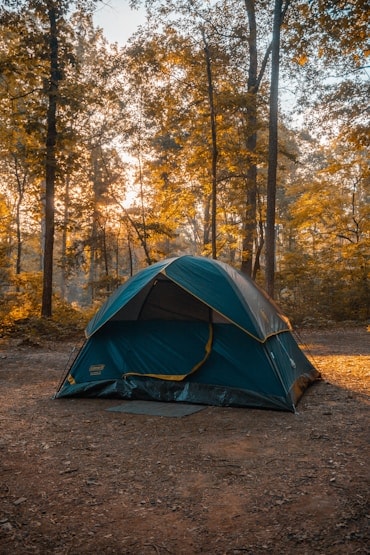 Blue-green dome tent pitched among autumn trees