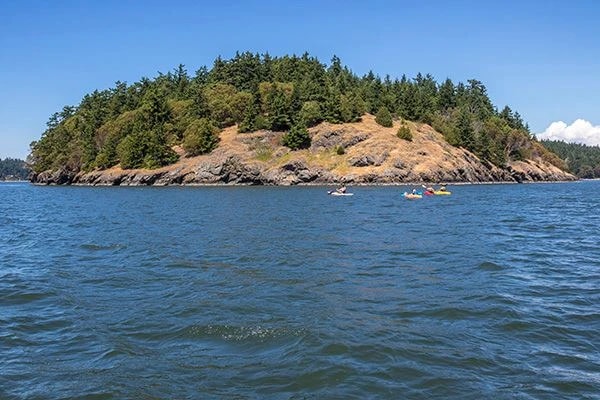 Skagit Island