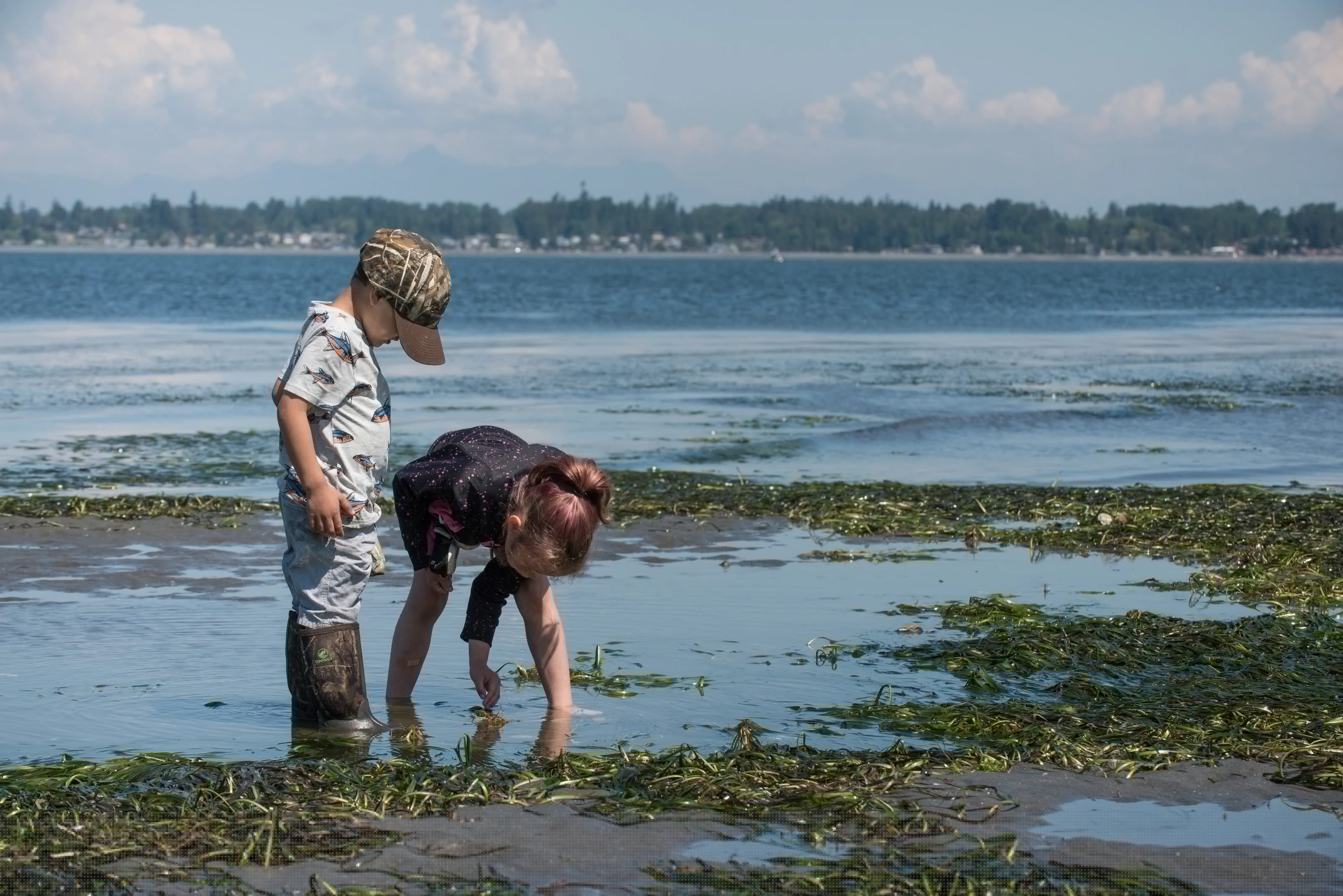 Birch Bay