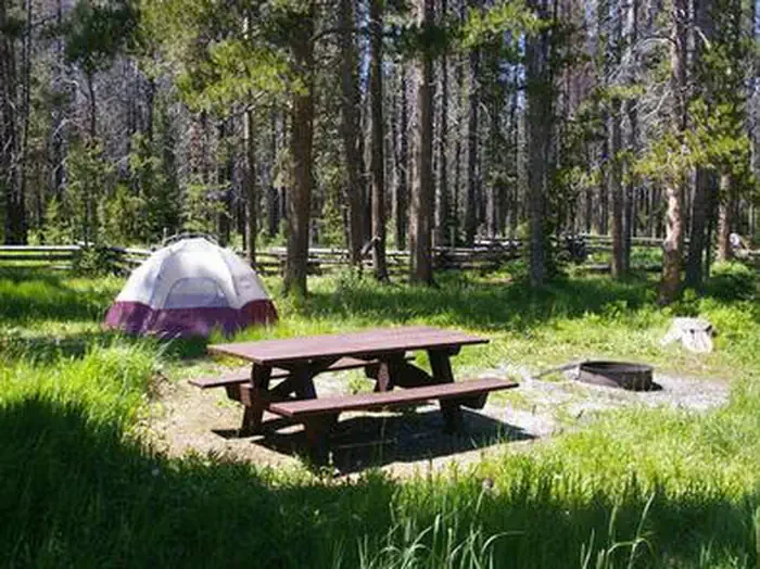 Trap Creek Campground