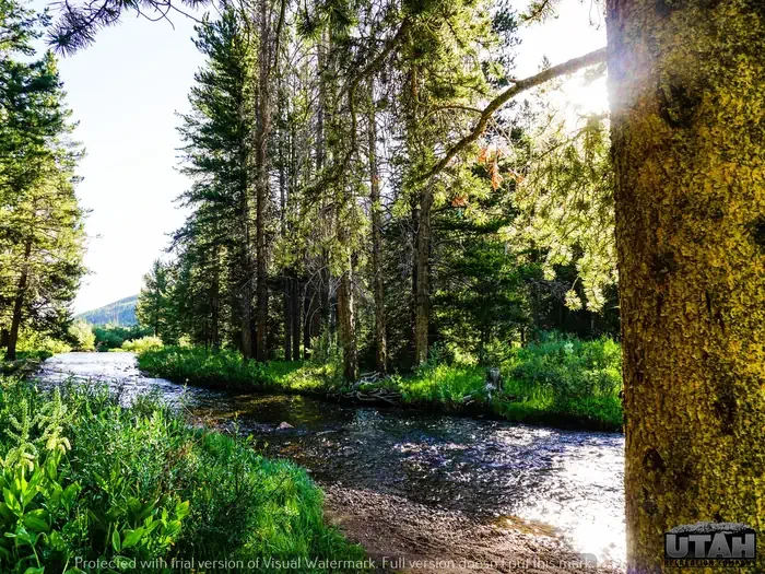 Sulphur Campground