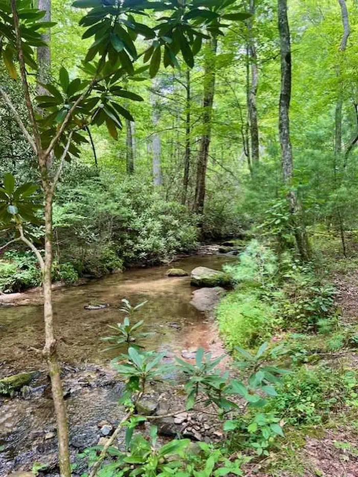 Basin Cove Backcountry Camping