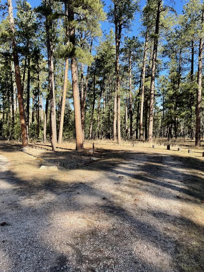 Bearlodge Campground