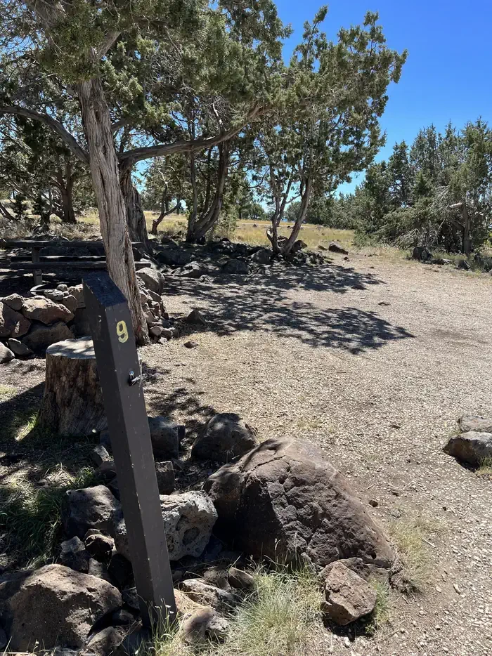 Forked Pine Campground