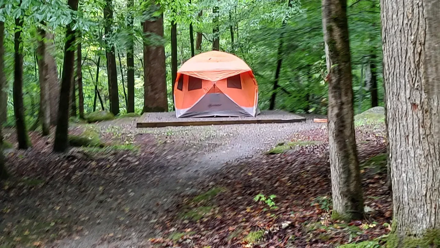 Big Creek Campground (great Smoky Mountains National Park)