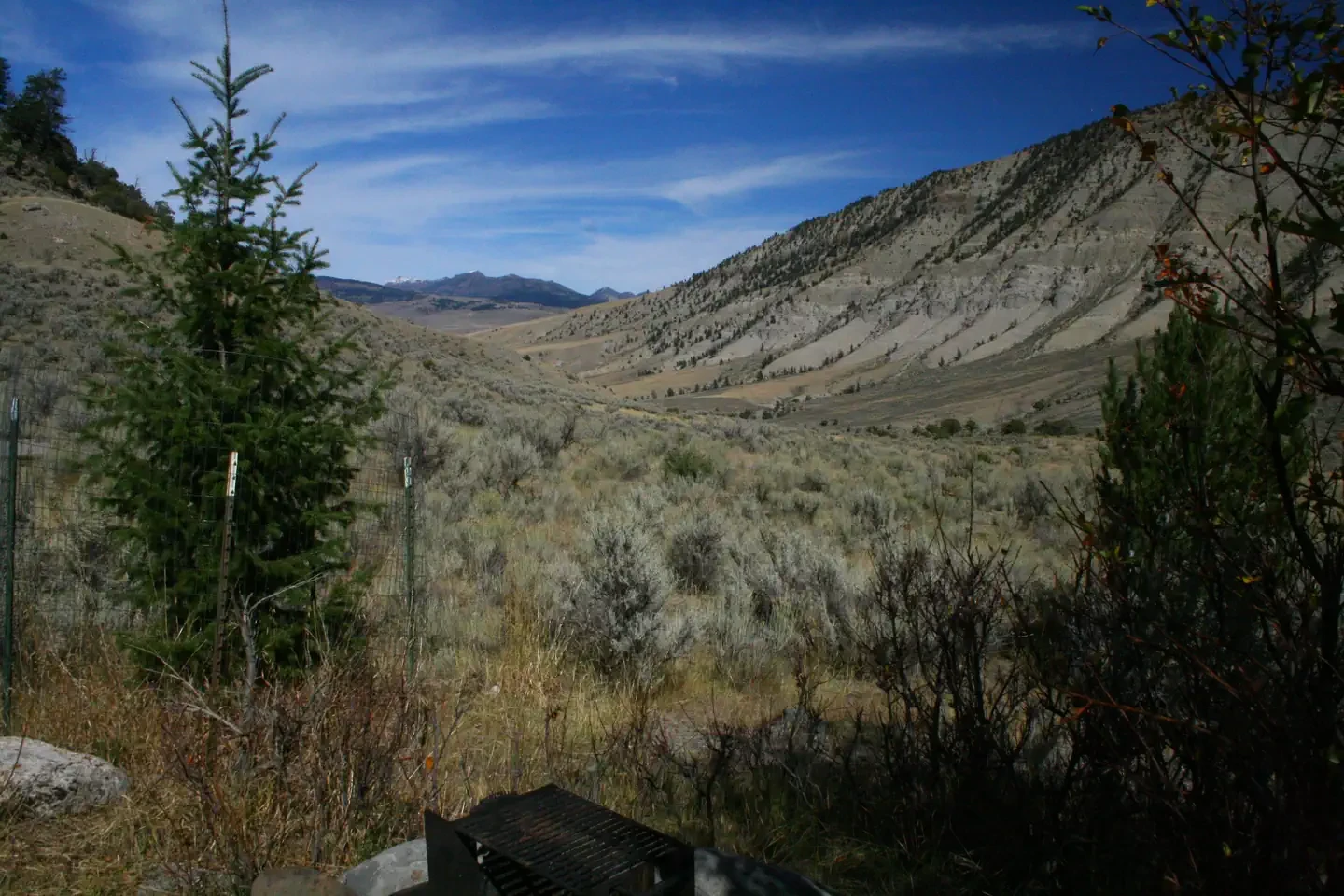 Mammoth site #44