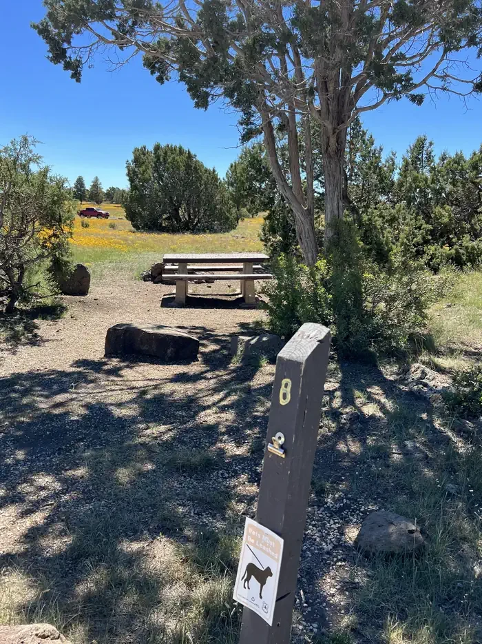 Forked Pine Campground