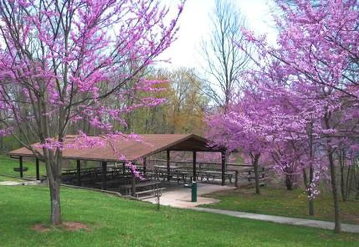 Seven Points Picnic Shelters
