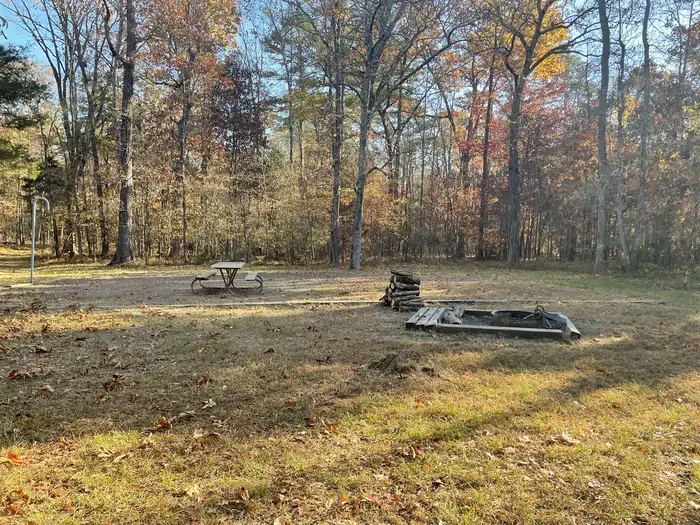 Site 3
