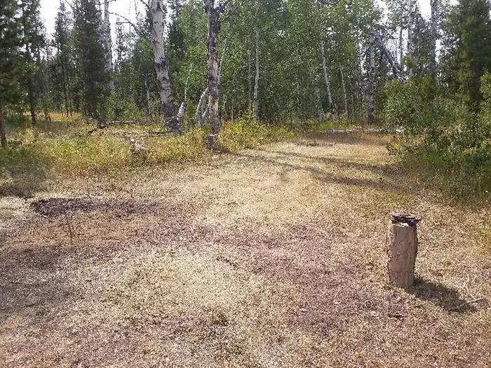 GR1