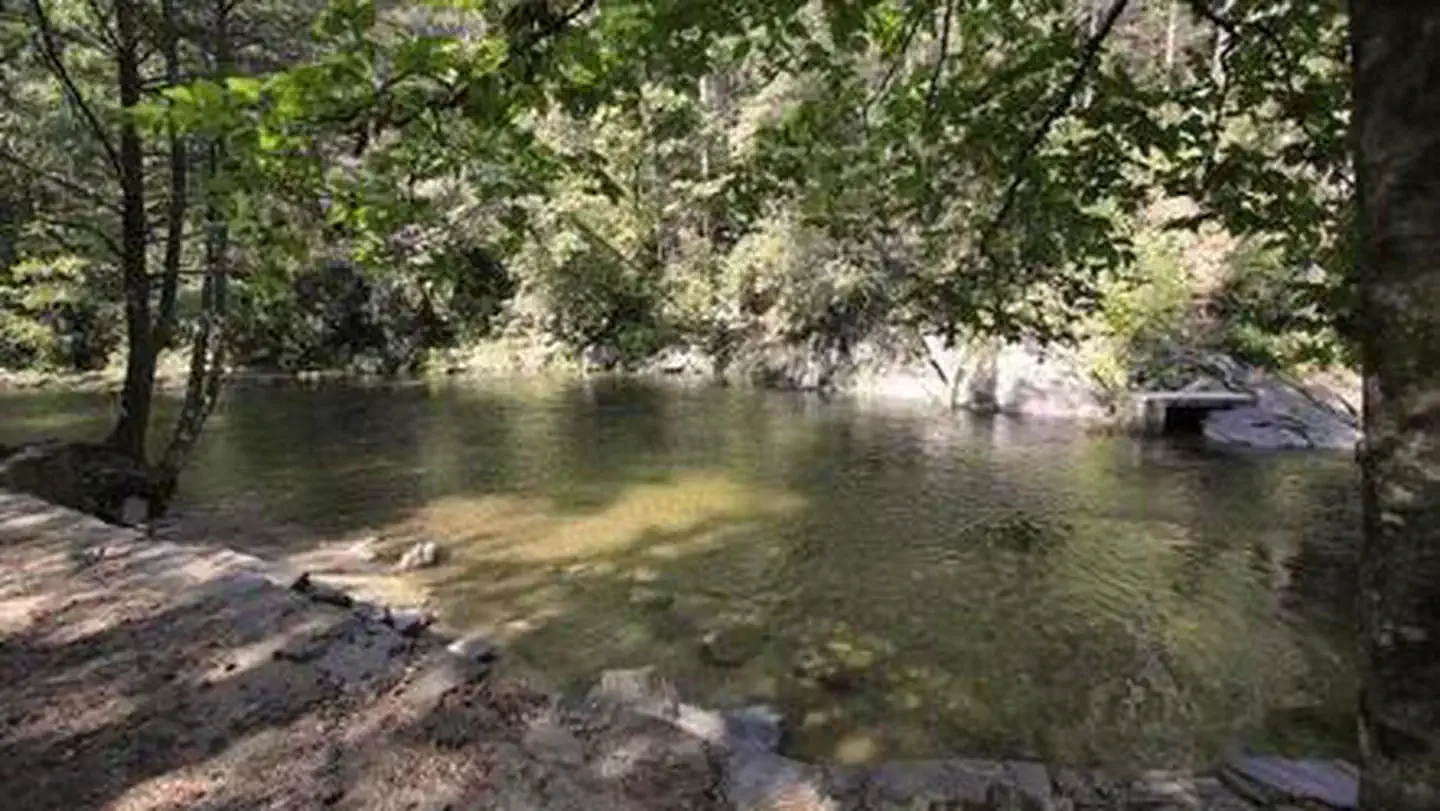 Davidson River