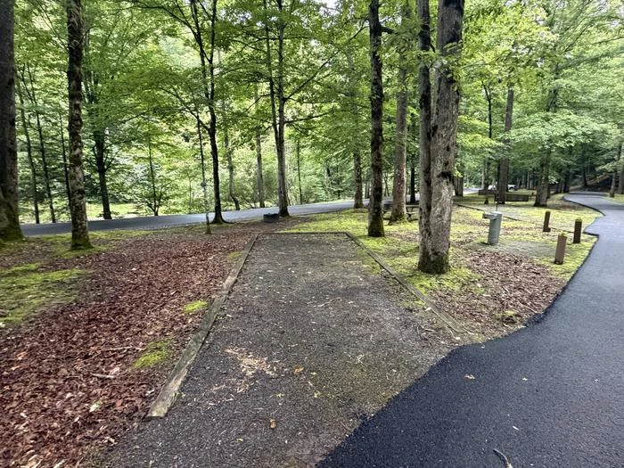 Site 26