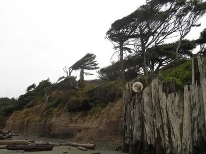 Kalaloch