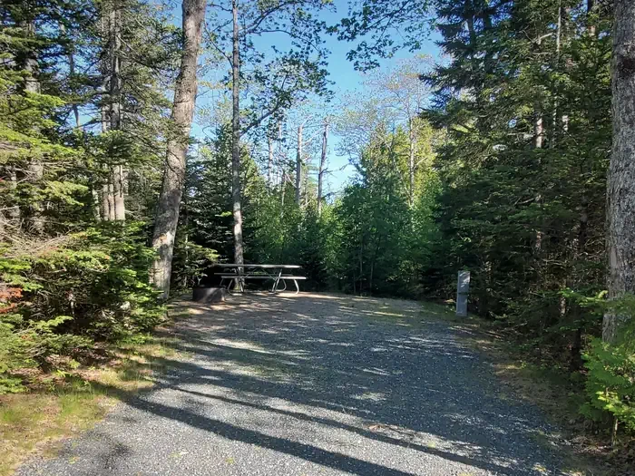 A35