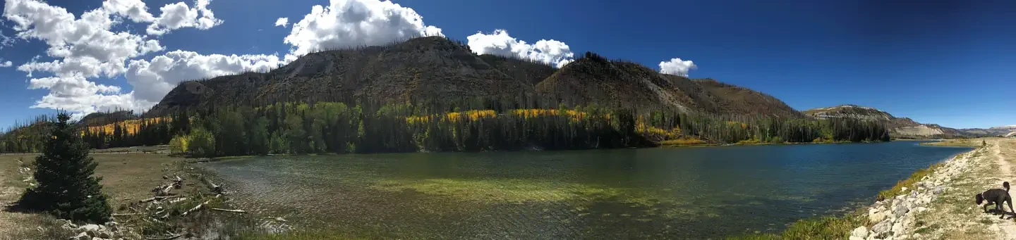 Willow Lake