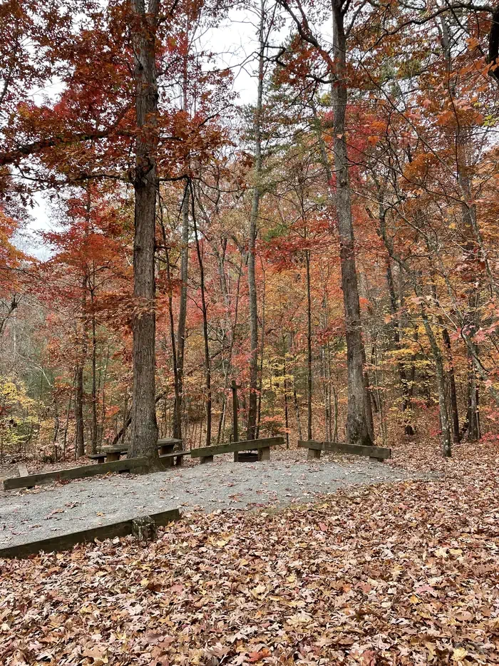 Lake Powhatan