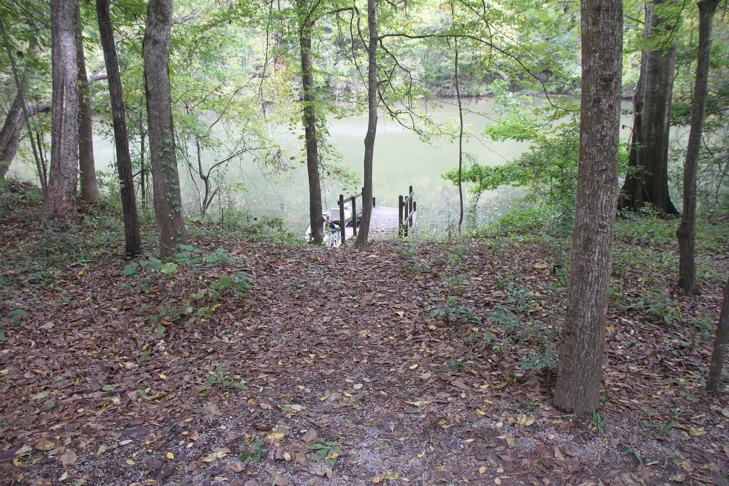 Isaac Creek