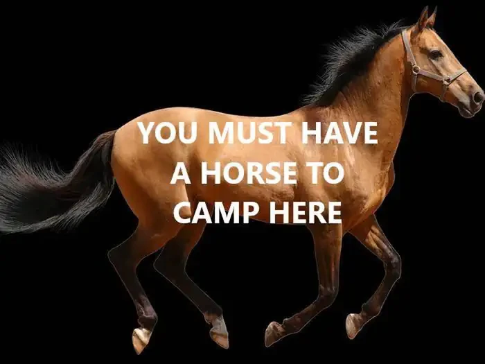 HORSE #1 (HORSES ARE MANDATORY)
