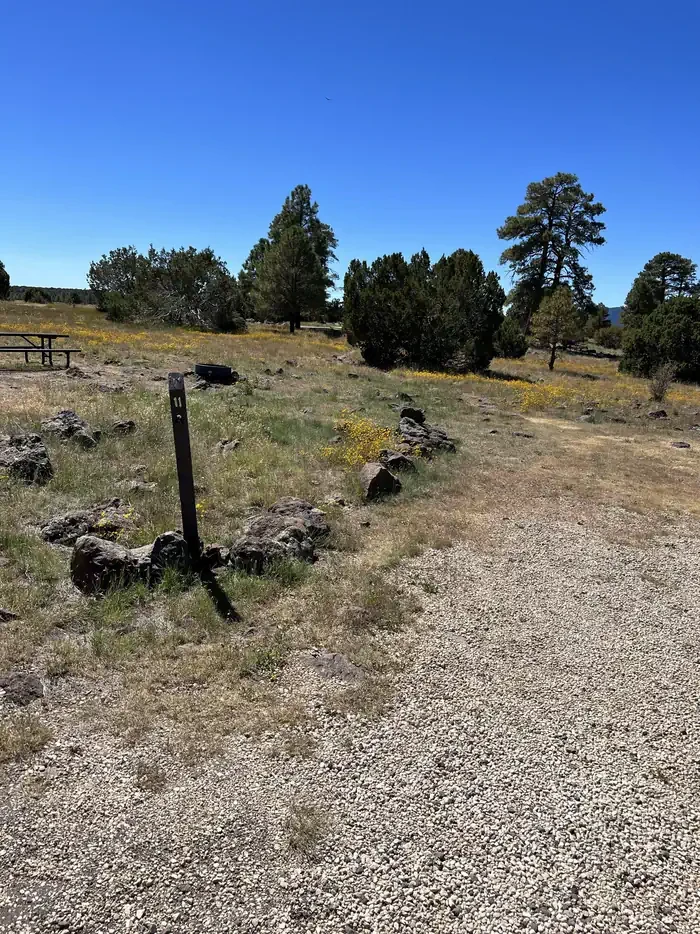 Forked Pine Campground