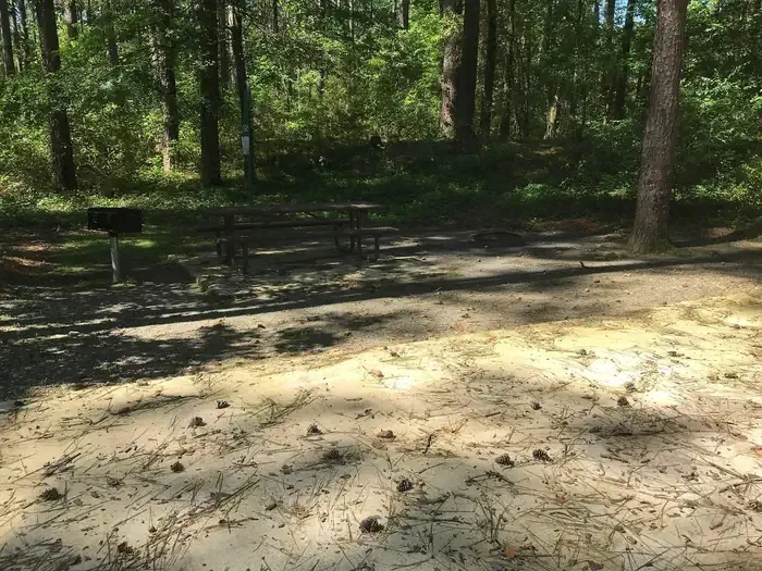 Tom Merrill Recreation Area