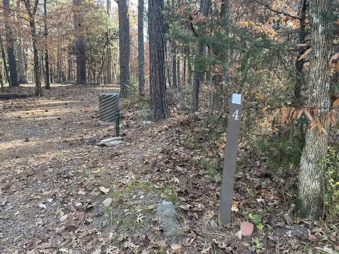 Site 4