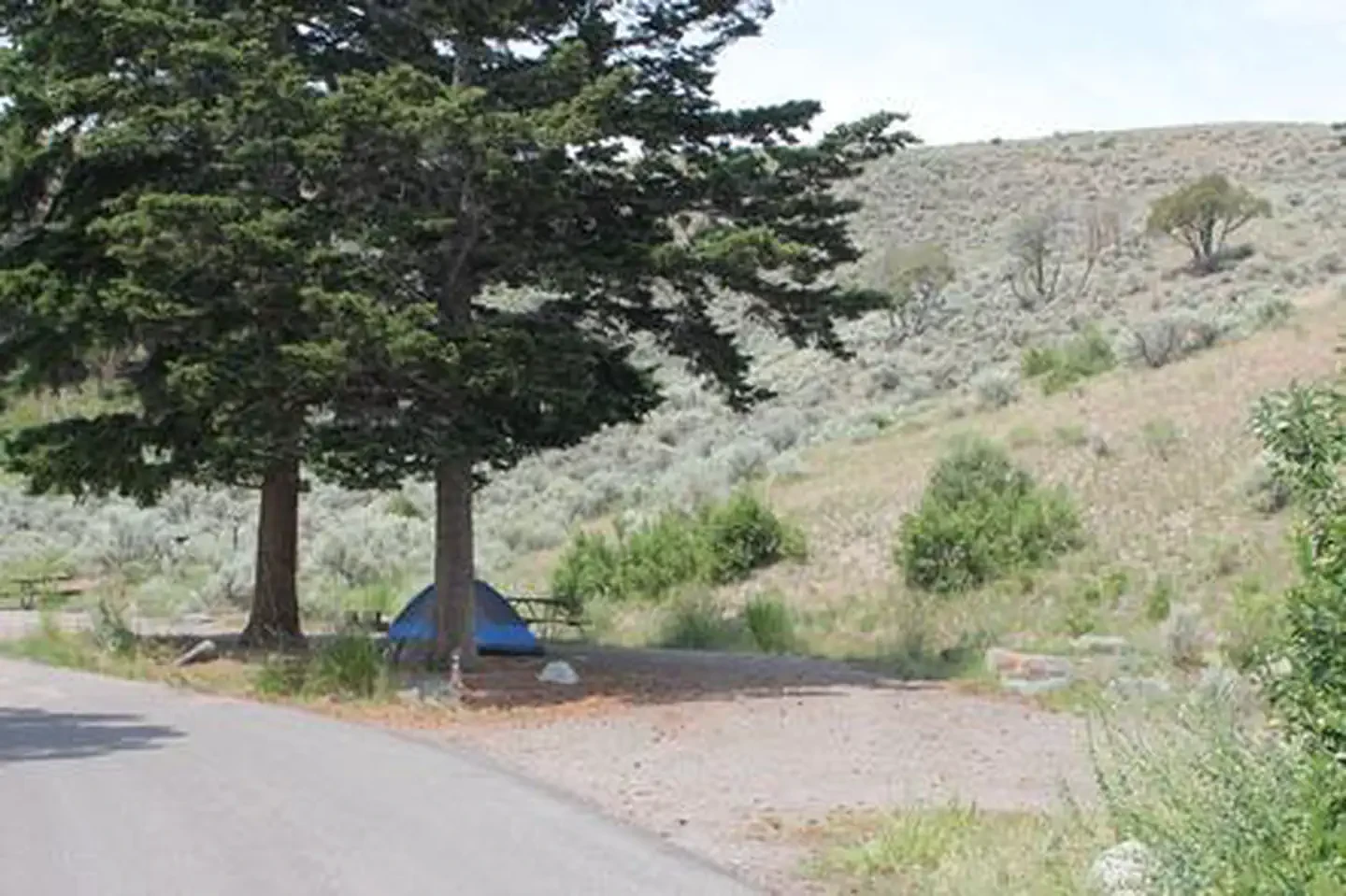 Mammoth site #8