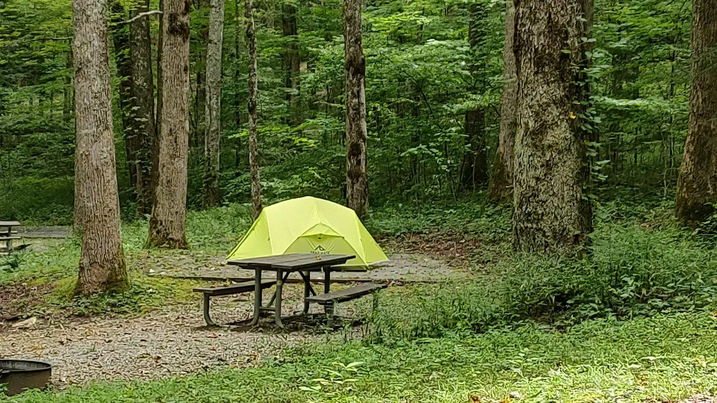 Cosby Campground