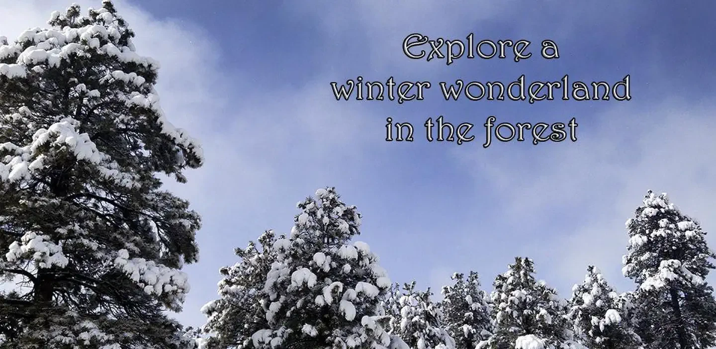 Kaibab National Forest Christmas Tree Permit