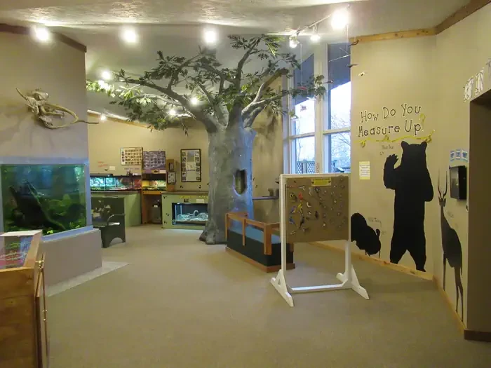 Visitor Center Picnic Shelter