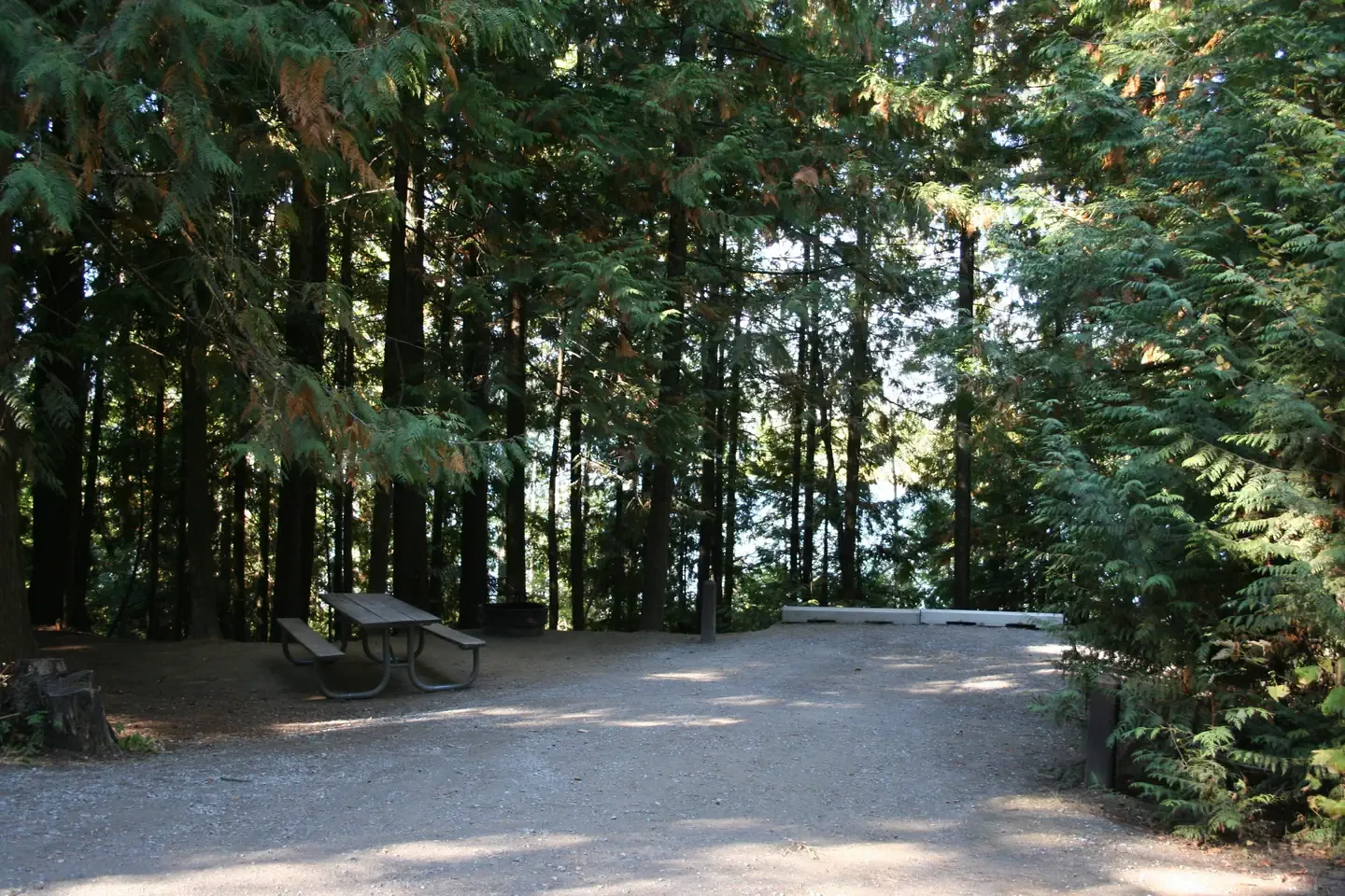 Springy Point