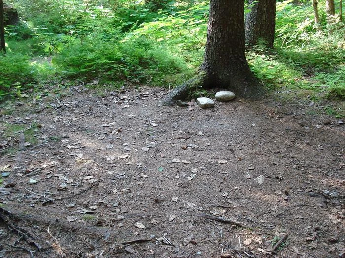 Site 4 Pleasant Camp