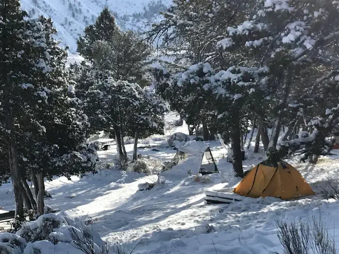 Mammoth Campground (Yellowstone)