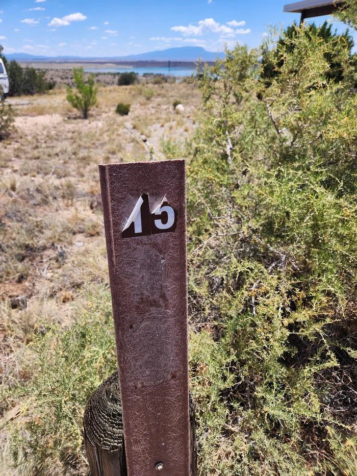 15