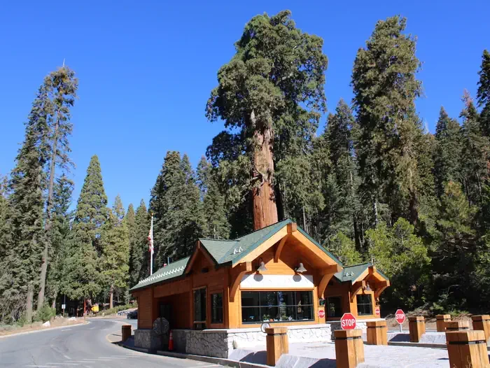 Azalea Campground