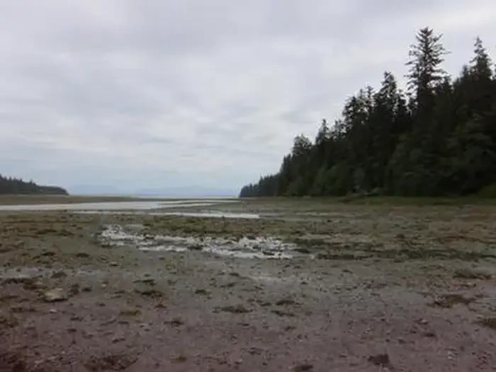 Kadake Bay Cabin