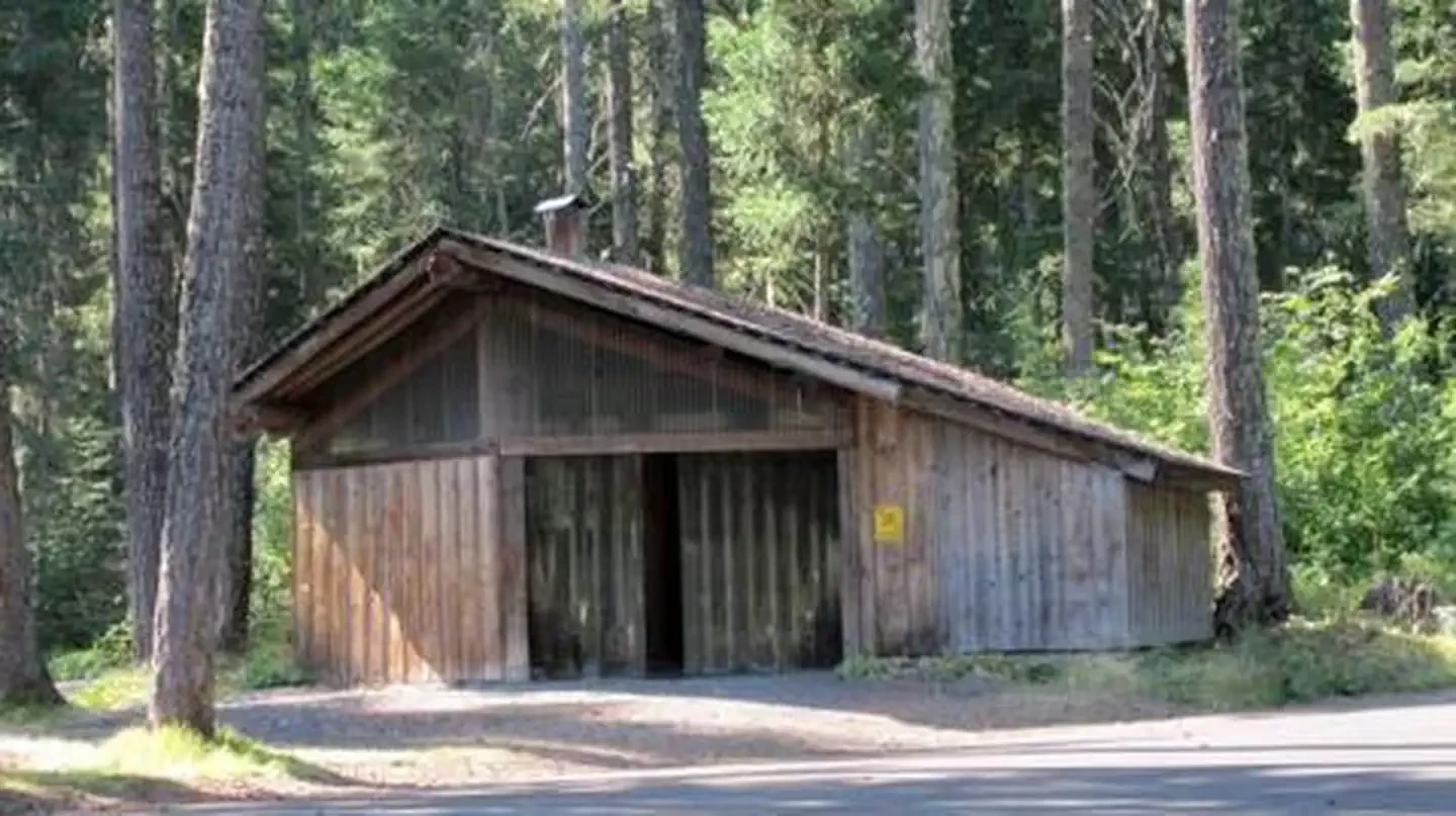 Atkisson Group camp