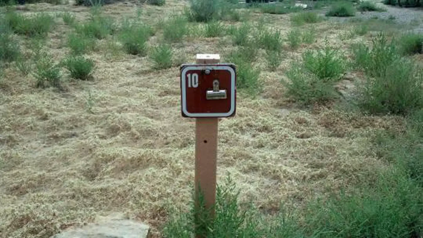 010