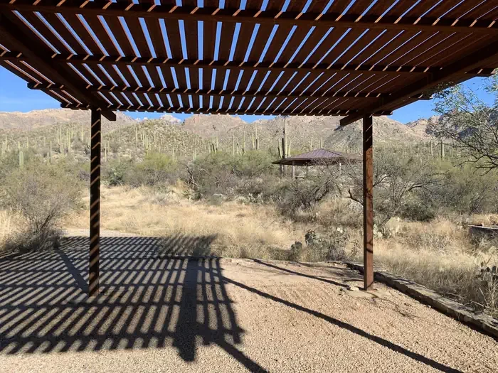 Sabino Canyon Recreation Area Cactus Ramada 2