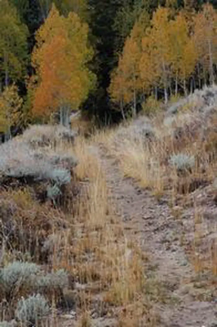 Grey Cliffs Campground