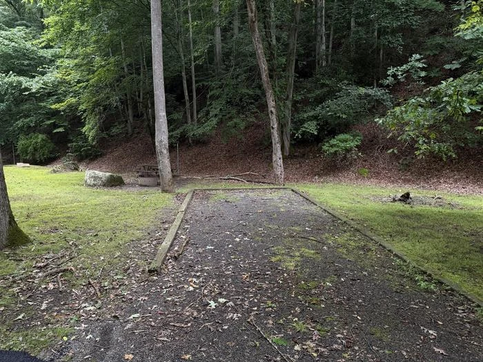 Site 24