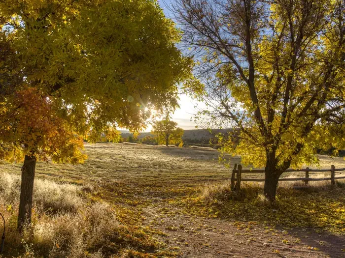 Bridge Hollow Campground