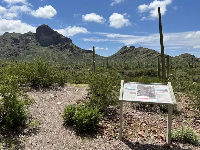 Alamo Canyon Primitive Campground