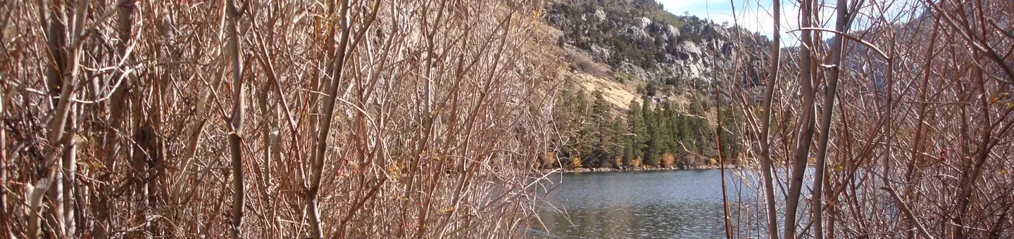 Silver Lake Campground June Lake (CA)