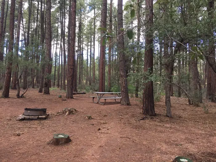 Ponderosa (az)