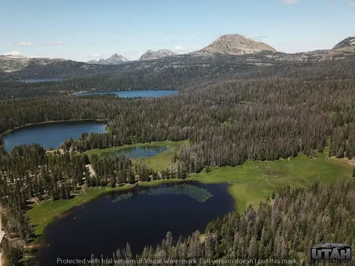 Lilly Lake Campground