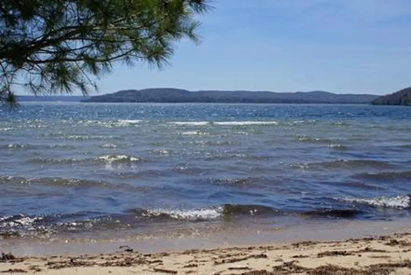 Loon Call