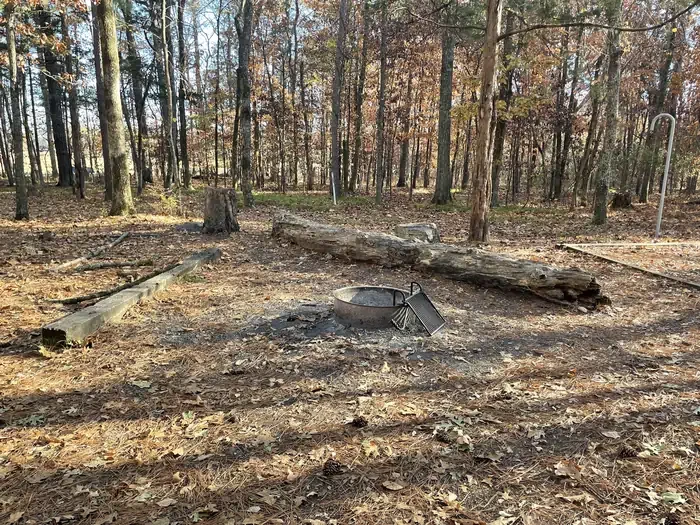 Site 4